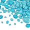 100Pcs 5 Styles Synthetic Turquoise Cabochons, Oval, Dyed, 8~25x6~18x3~6mm, 20pcs/style