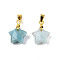 Natural Amazonite Charms, with Golden Plated Brass Findings, Faceted Star, Star: 12x12.5x5.5mm, Hole: 3.5x4mm