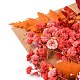 Сушеный цветок DIY-B018-06-2