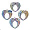 Rainbow Color Alloy Links, Cadmium Free & Nickel Free & Lead Free, Wing, 69x65.5x3mm, Hole: 6.5mm & 3mm