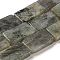 Natural Labradorite Beads Strands, Rectangle, 20x12x3mm, Hole: 1mm, about 20pcs/strand, 15.75''(40cm)