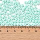 Выпечка краска стеклянные бусины SEED-B001-02A-14-4
