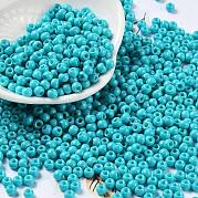 Выпечка краска стеклянные бусины SEED-H002-I-A507