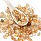Natural Citrine Beads, Chip, No Hole/Undrilled, 6~12.5x2.5~8mm