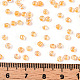 8/0 стакан бисер SEED-A015-3mm-2202-5