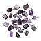 Natural AmethystPendants, with Stainless Steel Snap On Bails, Nuggets, 15x10x5mm, Hole: 3mm