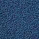 11/0 сорт круглый бисер стеклянный SEED-N001-A-1013-2