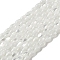 Natural Trochus Shell Beads Strands, Oval, WhiteSmoke, 4~4.5x2.8mm, Hole: 0.5mm, about 89~90pcs/strand, 15.55~15.94''(39.5~40.5cm)