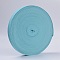 Colored Flat Elastic Rubber Band, Webbing Garment Sewing Accessories, Light Sky Blue, 25mm, 40m/roll
