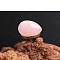 Natural Rose Quartz Egg Figurines Statues for Home Office Desktop Decoration, 30x20mm