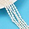 Natural Cultured Freshwater Pearl Beads Strands, Two Sides Polished, Grade 3A+, Seashell Color, 4~4.5mm, Hole: 0.5mm, about 62~64pcs/strand, 13.27~14.02''(33.7~35.6cm)