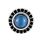 Stainless Steel Micro Pave Cubic Zirconia Stud Earrings, Flat Round, Marine Blue, 9mm