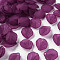 Transparent Frosted Acrylic Pendants, Petaline, Dark Orchid, 16x14.5x3mm, Hole: 1.6mm