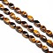 Natural Twist Tiger Eye Beads Strands, 12x6x6mm, Hole: 1mm, about 33pcs/strand, 15.74 inch