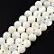Natural White Shell Bead Strands, Round, 8.5~9mm, Hole: 0.7mm, about 43pcs/strand, 14.96 inch(38cm)