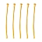 Iron Flat Head Pins, Cadmium Free & Lead Free, Nickel Free, Golden Color, Size: about 0.75~0.8mm thick(20 Gauge), 30mm long, about 8000pcs/1000g, Head: 2mm