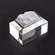 Пластиковых дисплеев кольцо RDIS-L003-04-3