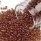 TOHO Round Seed Beads, Japanese Seed Beads, (951) Inside Color Jonquil/Brick Red Lined, 11/0, 2.2mm, Hole: 0.8mm, about 5555pcs/50g