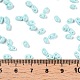 Выпечка краска стеклянные бусины SEED-T006-03G-4