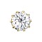 Preciosa® MAXIMA Crystal Sew-On French Cup, Czech Crystal, Round(719 35 114 Chaton), 00030 Crystal, Golden, 10.55~10.9mm