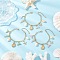 3Pcs 3 Colors Stainless Steel & Alloy Enamel Charm Bracelets, 304 Stainless Steel Cable Chains Bracelets for Women, Whale Tail & Starfish & Shell Shape, with Natural Cowrie Shell Beads, Mixed Color, 7-3/8 inch(18.8cm), 1pc/color