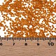 15/0 прозрачная чешская стеклянная бисерина SEED-N004-004-17-6