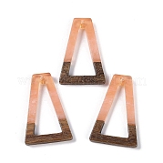 Подвески из смолы и дерева WOOD-F015-10B