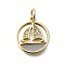 Brass Micro Pave Clear Cubic Zirconia Pendants, Cadmium Free & Lead Free, with Jump Rings, Sailboat Charms, Real 16K Gold Plated, 15x13x2mm, Hole: 3.5mm