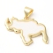 Eco-Friendly Rack Plating Brass Enamel Pendants, Long-Lasting Plated, Lead Free & Cadmium Free, Real 18K Gold Plated, Map Charm, White, 16x20x2mm, Hole: 5x3.5mm