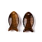 Natural Tiger Eye Pendants, Fish Charms, 23.5~24.5x12x5~6mm, Hole: 2mm