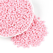 Выпечка краска стеклянные бусины SEED-N007-30E