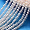 Potato Natural Cultured Freshwater Pearl Beads Strands, White, 3.5~4mm, Hole: 0.8mm, about 90~95pcs/strand, 13.78 inch(35cm)