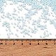 Выпечка краска стеклянные бусины SEED-S042-05B-64-4