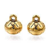 Подвески из сплава в тибетском стиле FIND-C060-065AG