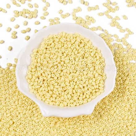 Выпечка краска стеклянные бусины SEED-T006-03B-1