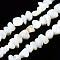 Natural Trochid Shell/Trochus Shell Beads Strands, Bleach, Nuggets Chips, Seashell Color, 3.5~13x6~12x3~8mm, Hole: 0.9mm, about 68~73pcs/strand, 15.35 inch~15.94 inch(39~40.5cm)