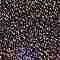 TOHO Round Seed Beads, Japanese Seed Beads, (325) Gold Luster Light Tanzanite, 11/0, 2.2mm, Hole: 0.8mm, about 1110pcs/10g