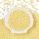 Выпечка краска стеклянные бусины SEED-T006-03B-1