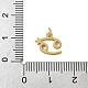 Подвески из хирургической нержавеющей стали 316L STAS-U058-01G-04-3