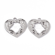 Подвески из нержавеющей стали 304 STAS-B031-02P