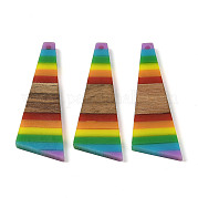 Подвески Pride на тему радуги из смолы и орехового дерева WOOD-K012-08A