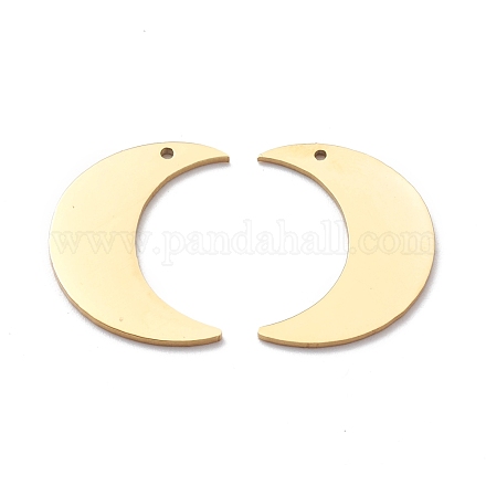 Подвески из нержавеющей стали 304 STAS-Y006-44G-1