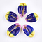 Printed Cowrie Shell Beads, No Hole/Undrilled, Colorful, 20~25x13~17x7~8mm