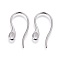 Tarnish Resistant 304 Stainless Steel Earring Hooks, with Horizontal Loop, Stainless Steel Color, 22x12x1mm, Hole: 3.5x2mm, 18 Gauge, Pin: 1mm