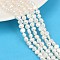 Natural Cultured Freshwater Pearl Beads Strands, Two Sides Polished, Grade 3A, Seashell Color, 5~6mm, Hole: 0.7mm, about 63pcs/strand, 13.46~13.66''(34.2~34.7cm)