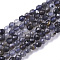 Natural Iolite/Cordierite/Dichroite Beads Strands, Faceted, Round, 3~3.5mm, Hole: 0.6mm, about 110~130pcs/strand, 15.35 inch(39cm)