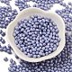 Выпечка расписных стеклянных бусин SEED-C004-04I-2
