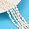 Natural Cultured Freshwater Pearl Beads Strands, Two Sides Polished, Grade 2A+, WhiteSmoke, 5~6mm, Hole: 0.6mm, about 45~46pcs/strand, 13.23~13.50''(33.6~34.3cm)
