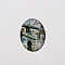 Photo Glass Oval Cabochons, European Style, Colorful, 25x18x6mm