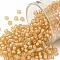 TOHO Round Seed Beads, Japanese Seed Beads, (923) Inside Color AB Crystal/Moccasin Lined, 8/0, 3mm, Hole: 1mm, about 222pcs/10g